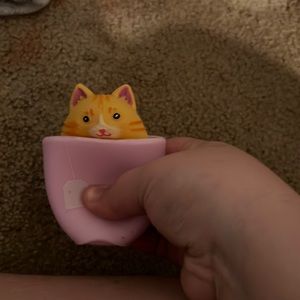 Pop up cat